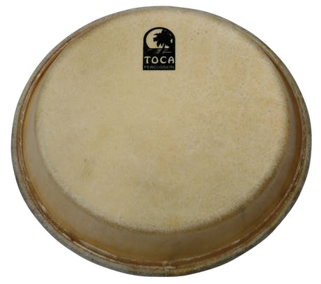 Toca Traditional Fell TP-39011-3/4 für Conga 11 3/4", Büffelhaut